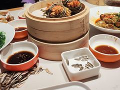 -杨氏青龙虾·羊蝎子(托乐嘉店)