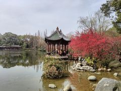 -棠湖公园