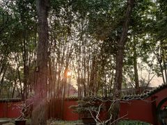 -成都武侯祠博物馆