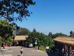 -广州市帽峰山景区