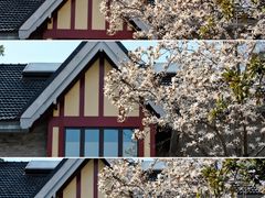 -颐和路民国时期公馆-风貌区