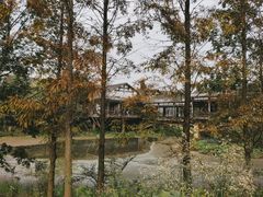 -白鹭湾湿地公园