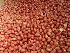 -大秦面庄(青松路店)