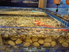 -焰江山海鲜牛排烤肉自助(锦华万达二星店)