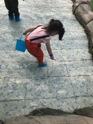 点击看大图 -可可天空农场(东部新城银泰店)