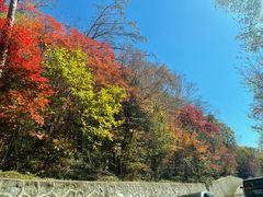 -老秃顶草原景区