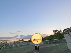 -飞凤山奥体公园