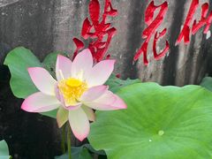 -广州莲花山旅游区