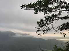 -三亚亚龙湾人间天堂鸟巢度假村