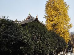 -四川大学(华西校区)