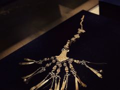 -鄂尔多斯青铜器博物馆