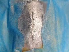 -瑞派名望志远动物医院·猫科·內科·异宠专科(直港大道店)
