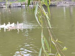 -北京宽沟会议中心