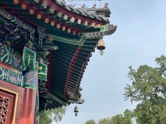 -香山公园
