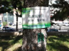 -吉林大学(新民校区)