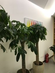 -丰联丽格医疗美容·联合丽格眼整形中心