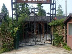-金山农民画村-枫泾波兰倒置屋