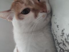 -佳雯宠物医院(金华南路分院)