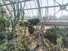 -南山植物园