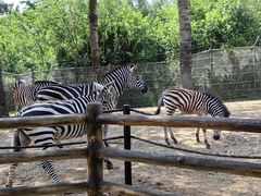 -大连森林动物园