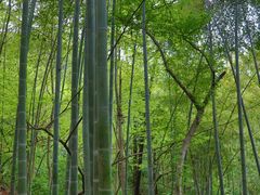 -敬亭山风景名胜区