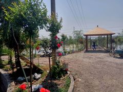 -同銮特种养殖场·龙虾垂钓