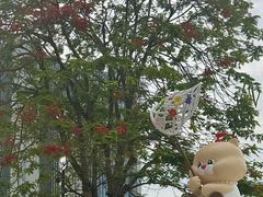 -民盈·国贸城