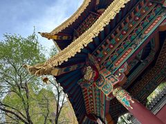 -护国法轮寺