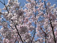 -梁鸿国家湿地公园