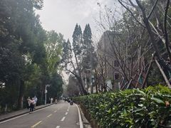 -武汉大学-樱园