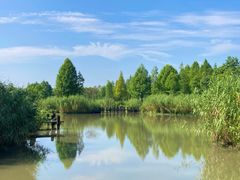 -沙家浜风景区