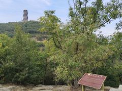 -大伊山景区