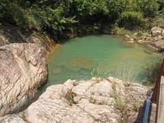 -广州白江湖森林公园