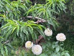 -李叔同故居纪念馆