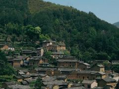 -杨家堂村