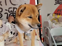 -开元商城(西旺店)