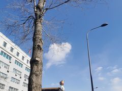 -长春公园(普阳街道)