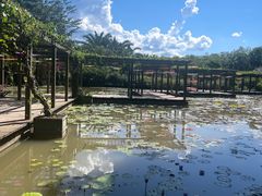 -中国科学院西双版纳热带植物园