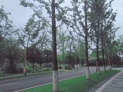 -天河潭旅游度假区