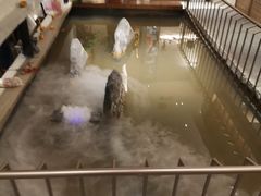 -十二粤味·顺德菜·烧鹅点心(五四广场店)