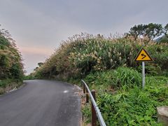 -南麂列岛