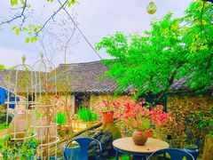 -桑洲油菜花景区