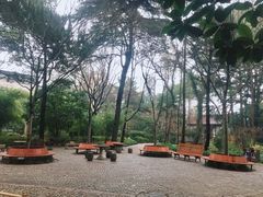 -汇龙潭