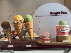 -哈根达斯(国瑞店)