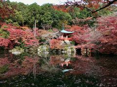 -醍醐寺