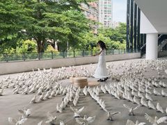-福田美术馆——新童话主义－周艺文艺术季