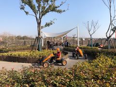 -季高兔窝窝亲子园(上海薰衣草公园店)