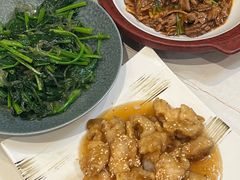 -鸢飞潍坊菜馆(鸢飞大酒店)