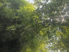 -晓港公园