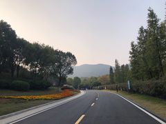 -习家池